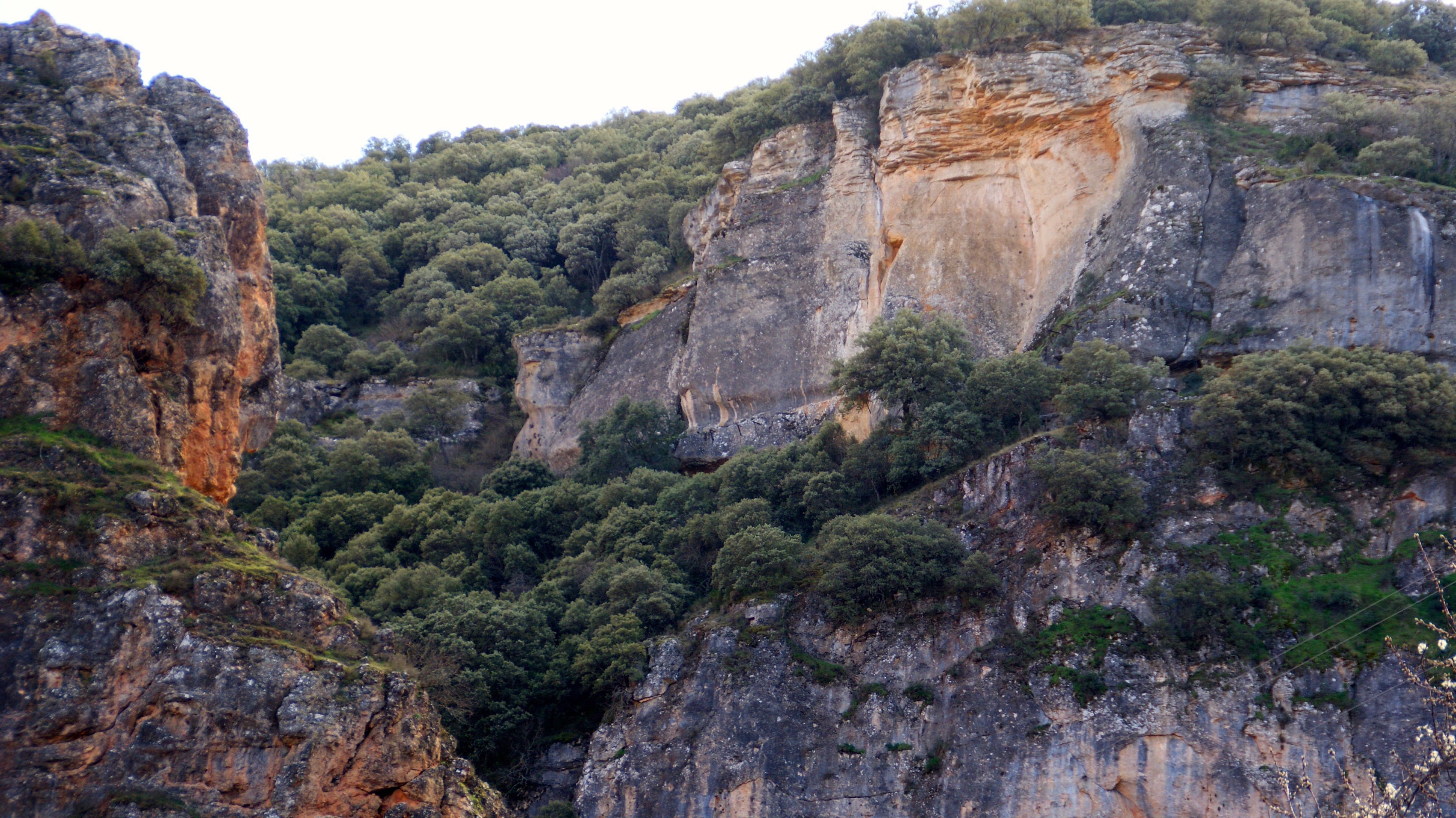 SONY DSC