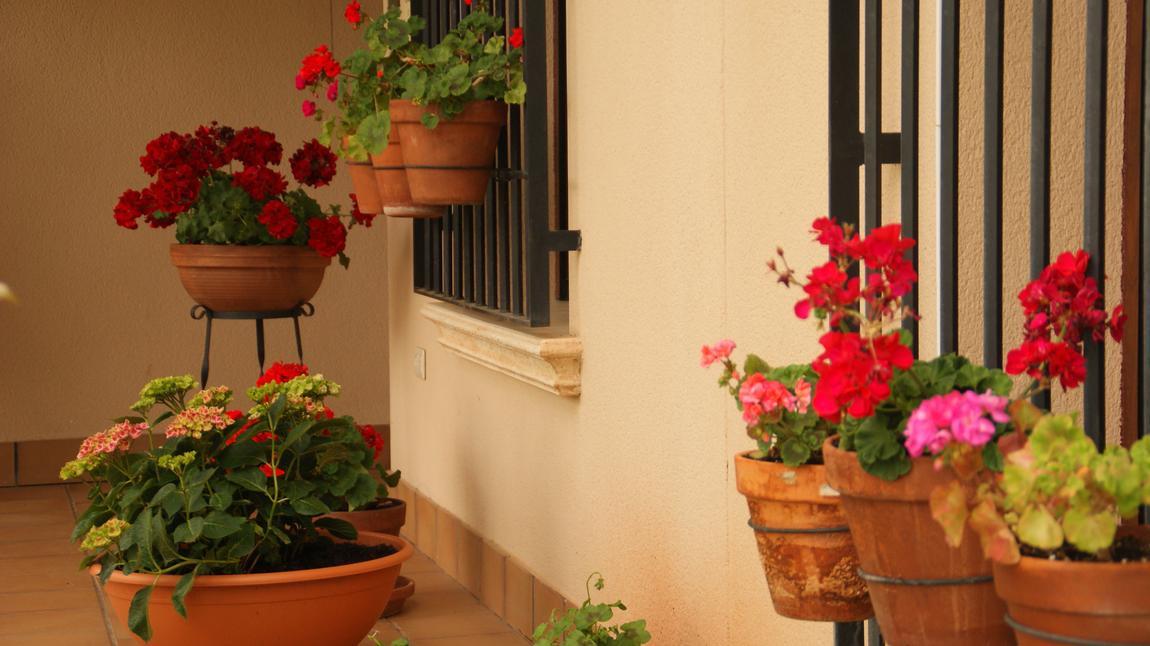 SONY DSC